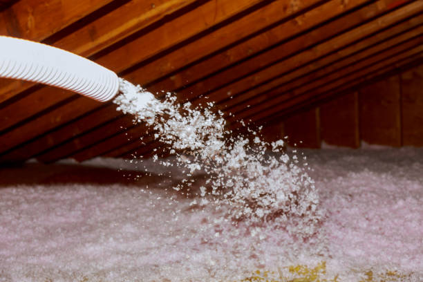 Best Insulation Installation Services in Minerva Park, OH