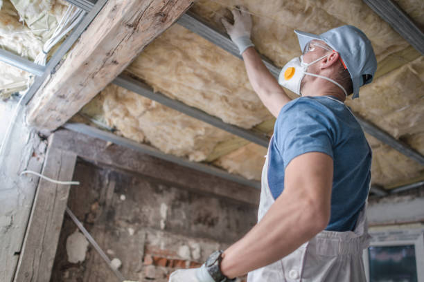 Best Types of Insulation in Minerva Park, OH